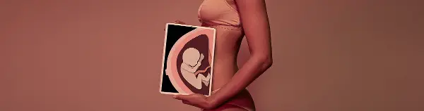 Тест состояния репродуктивной системы женщины